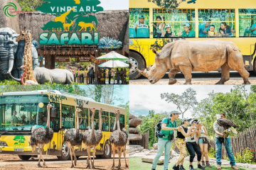 Tour Phú Quốc 3N2Đ - Tham quan Vinwonders & Safari - PQT011
