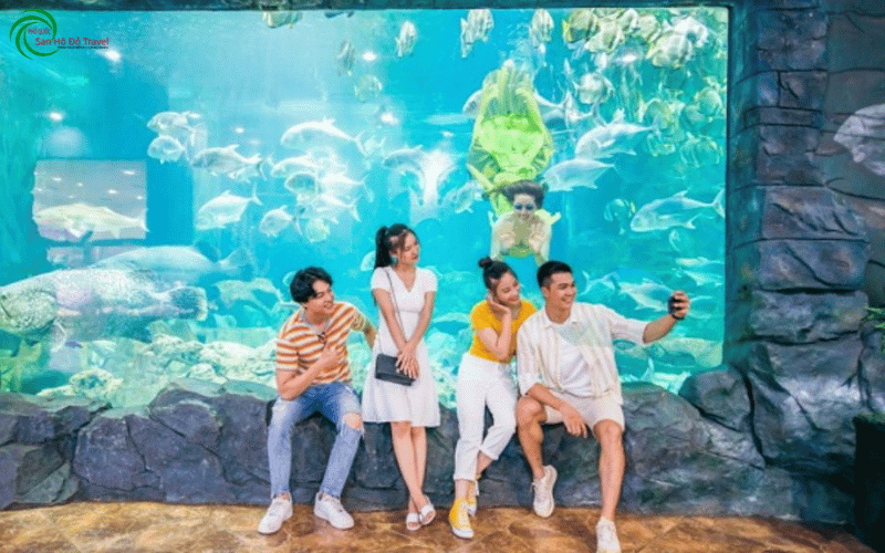 Thuy-cung-vinke-va-aquarium-times-city-1