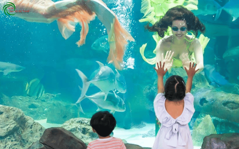 Thuy-cung-vinke-va-aquarium-times-city-2