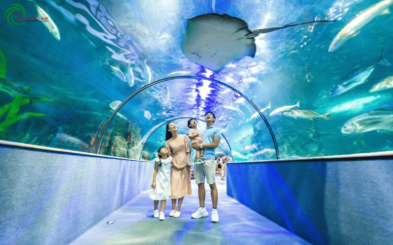 Thuy-cung-vinke-va-aquarium-times-city-3