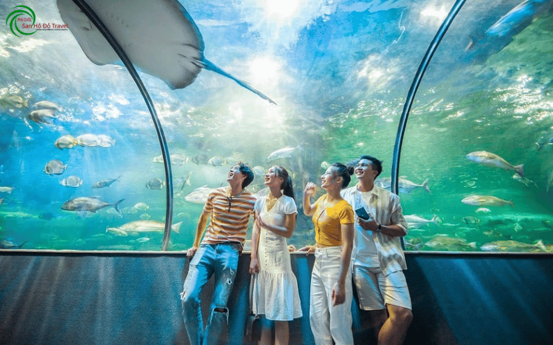 Thuy-cung-vinke-va-aquarium-times-city