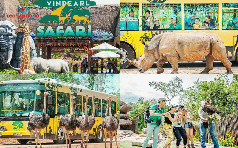 tham-quan-vinpearl-safari-phu-quoc-5