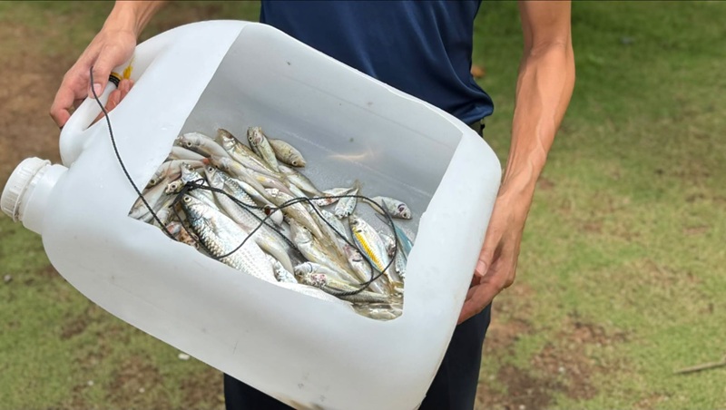 Đánh bắt hải sản ở bãi thơm Phú Quốc