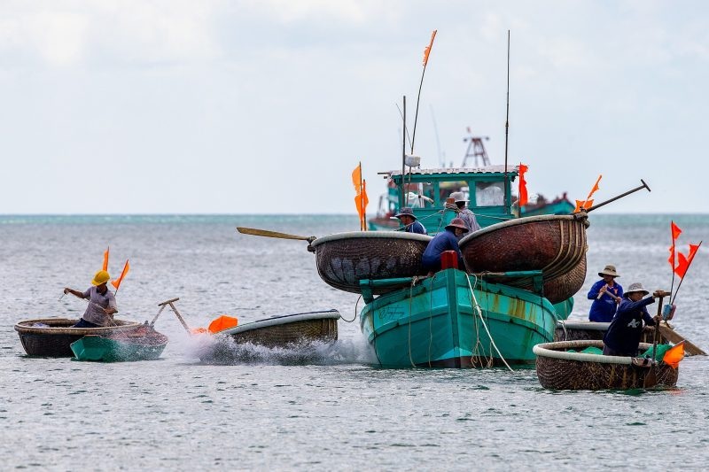 Ngư dân đánh bắt hải sản ở cảng bãi vòng