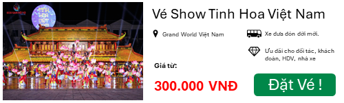 ve-show-tinh-hoa-viet-nam