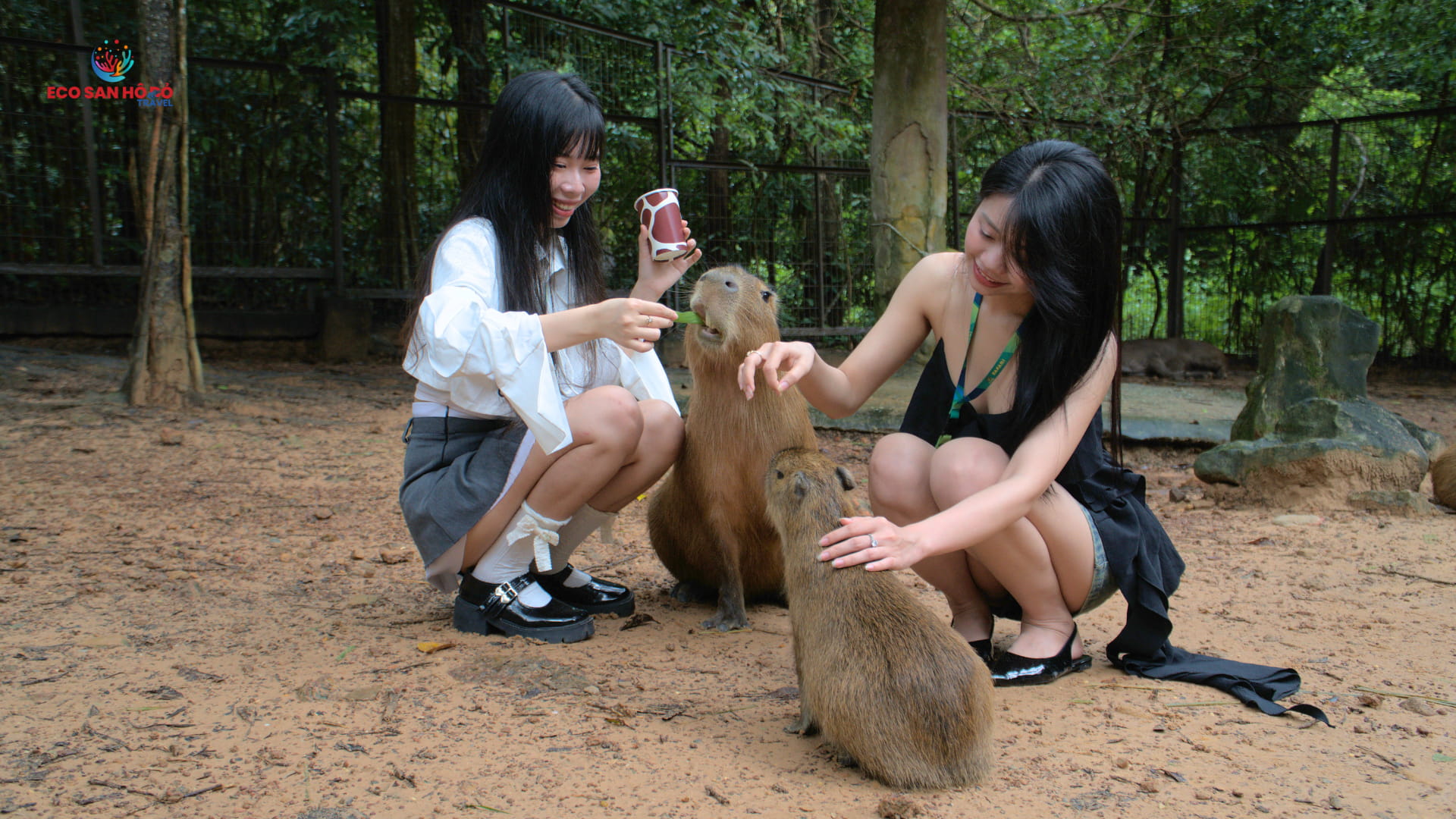 safari-capybara