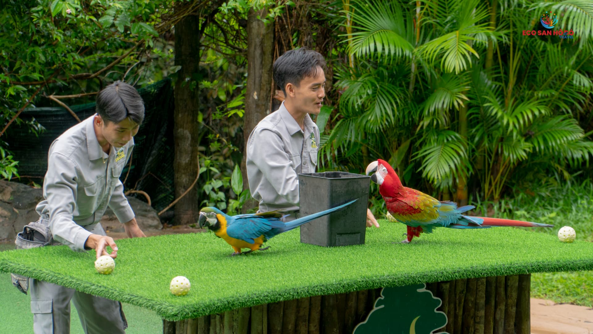 show-xiec-chim-vinpearl-safari-phu-quoc