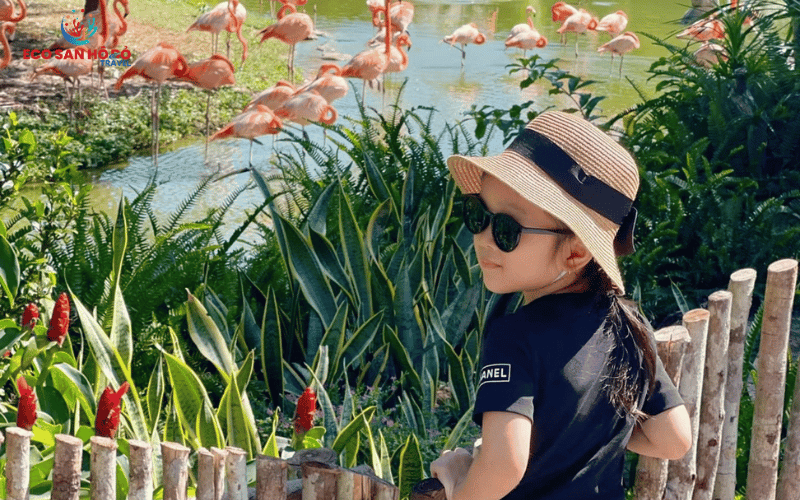 Combo 3N2Đ Vinpearl Resort & Spa + Buffet 3 bữa + Vui chơi không giới hạn