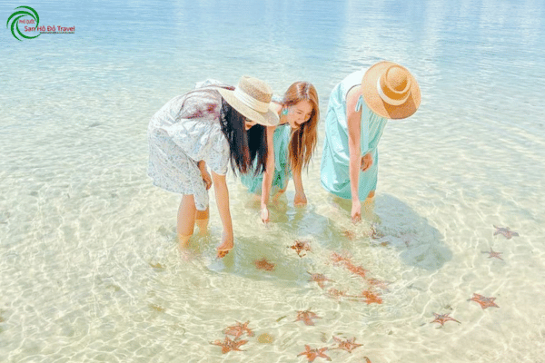 Tour Rạch Vẹm Kết Hợp Bắc Đảo Phú Quốc