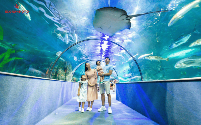 Vé VinKE Và Aquarium Times City