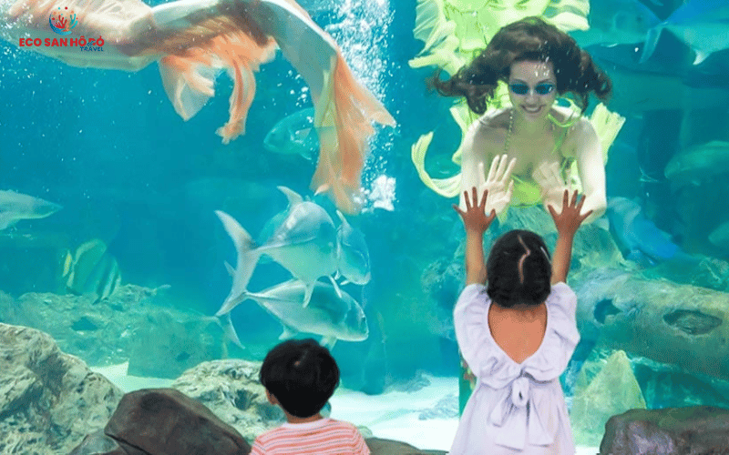 Vé VinKE Và Aquarium Times City