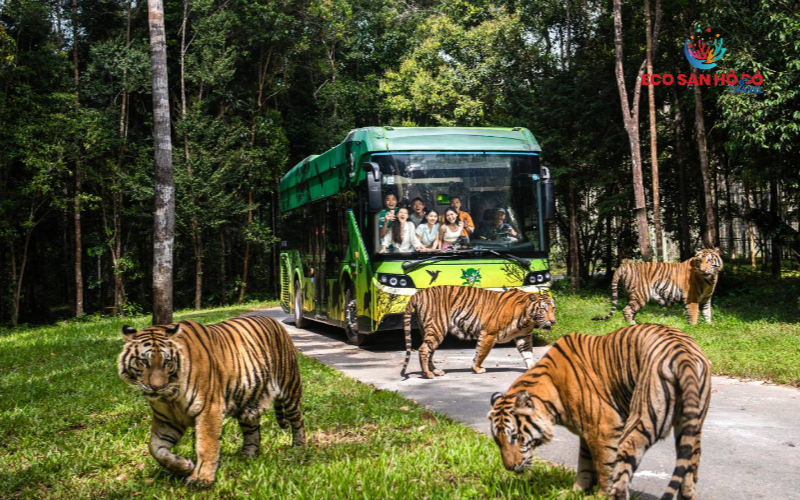 vinpearl-safari-phu-quoc 1