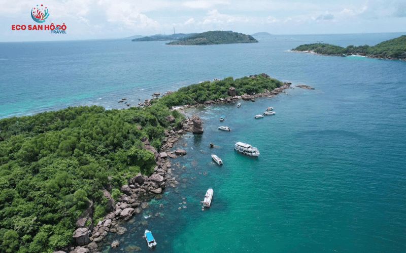 N&ecirc;n Đi Tour 4 Đảo Ph&uacute; Quốc Bằng Cano Hay T&agrave;u? So S&aacute;nh Thực Tế Trước Khi Đặt Tour